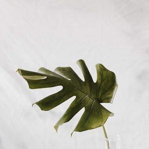 Meet your Posher, Alison